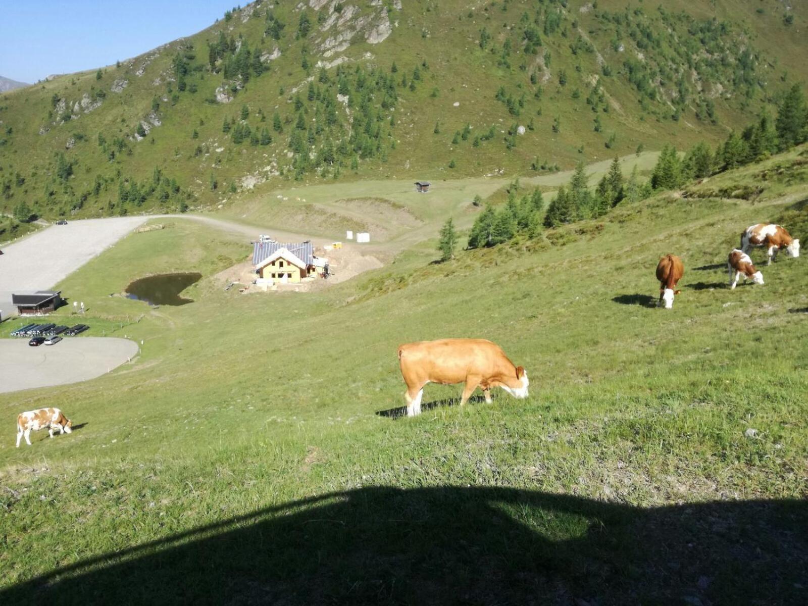 Wieser Hütte Stockenboi Exterior foto
